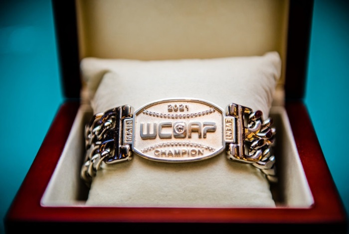 Partypoker проведет онлайн-версию WCOAP - Чемпионата мира по покеру среди любителей